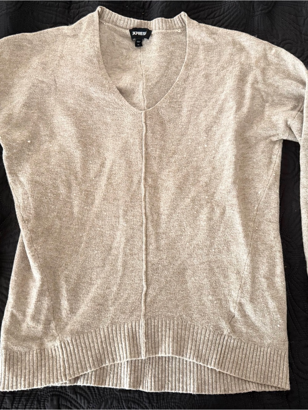 Express Women's V-Neck Sweater in Light Beige